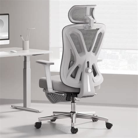 Hbada P5 Ergonomic Office Chair Desk Chair With Adjustable Lumbar ...