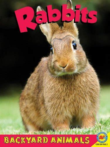 Rabbits (Backyard Animals) : Bekkering, Annalise: Amazon.in: Books