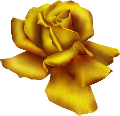 Photoshop快速打造漂亮的金色玫瑰 - 效果教程 - PS教程自学网