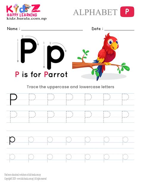 Free letter p tracing worksheet for preschool, Download Free letter p ...