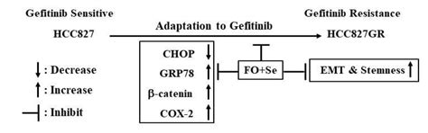 Omega-3 Fatty Acid-Enriched Fish Oil and Selenium Combination Modulates ...