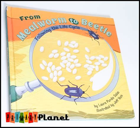 Mentor Text Monday: Mealworm Life Cycle - Primary Planet