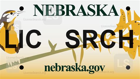 Nebraska License Plate Lookup | License Lookup