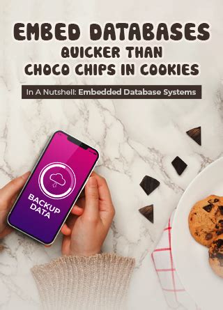 Image result for Embeding Database