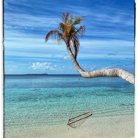 SCUBA INN (Omadhoo Island) - Cottage Reviews & Photos - Tripadvisor