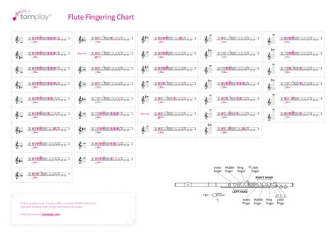 Flute fingering chart - Interactive tool for all flute players