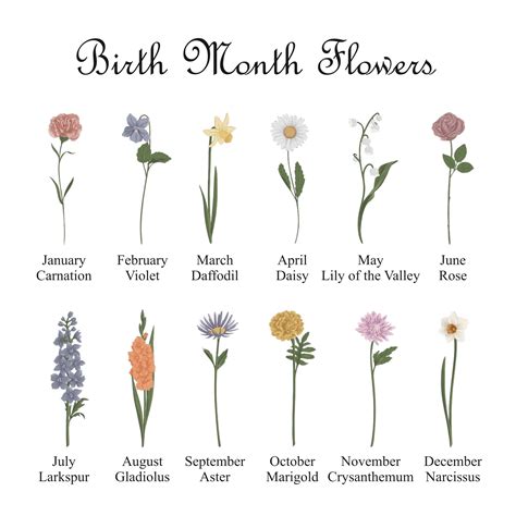 Birth Flower Chart Personalised Birth Flower Sign – Mist Designs