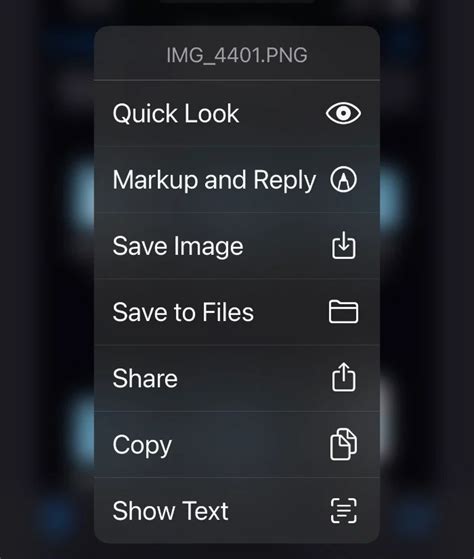 Image result for How to Download Files On iOS