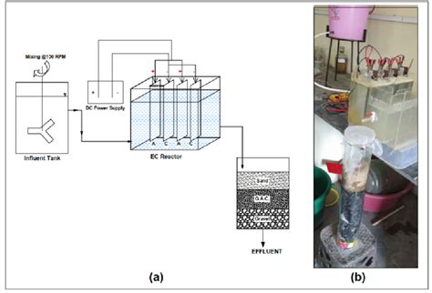 Image result for ECF Tutorial