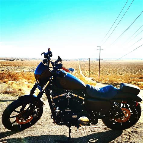 Iron 883 Python Slip-On 的图像结果