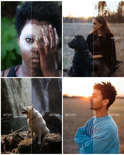 Lightroom Collection Set 的图像结果