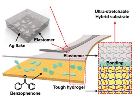 Silver-Nanowire-Based Elastic Conductors: Preparation Processes and ...