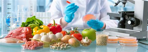 Food Science Courses 的图像结果