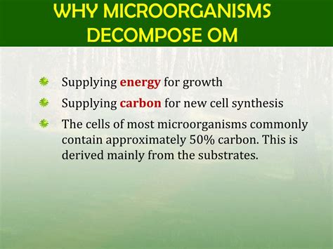 Image result for Decomposition Explained