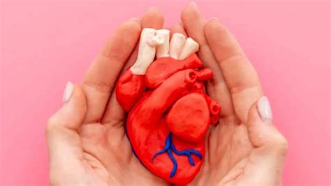 Phthalates In Microplastics Linked To Heart Diseases—One Simple Hack To ...