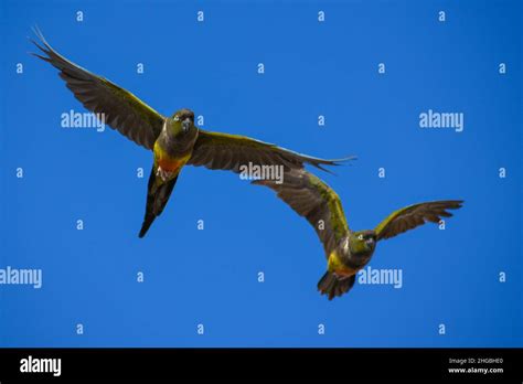 Image result for Data Visualization Tools Python Sample View vs Code