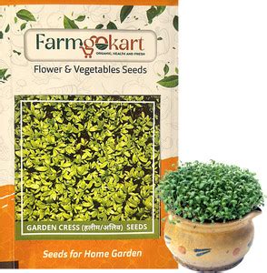FARMGO |10 Gms CRESS COMMON Herb Seeds|for Home Gardening, Farming ...