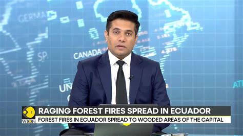 Forest Fire: Out of control fire ravages Ecuador's forests - World News