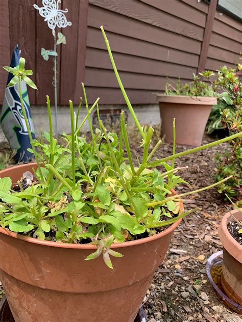 Adventures With Beth: What Do They Eat?