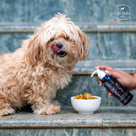 Buy Sardine Fish Oil For Dogs & Cats | Natural Omega 3 Supplements Pack ...