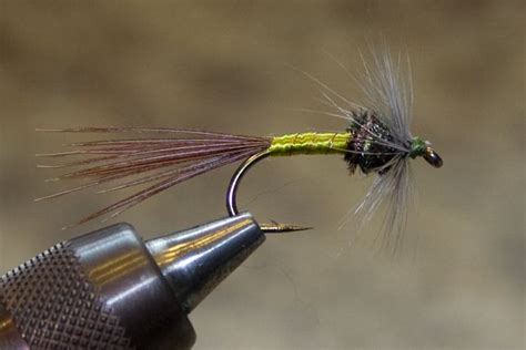 Simple Fly Patterns 的图像结果