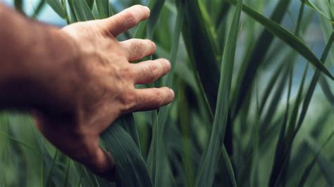 Green Logistics - Initiatives to reduce carbon emissions in the entire ...