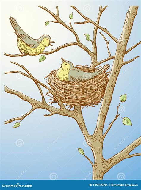 Bird Nest Drawing