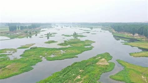 河南南阳白河国家湿地公园-河南省林业厅-关注森林网