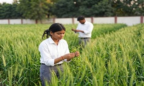 Roorkee College Of Agriculture Sciences - Best Engineering College in ...