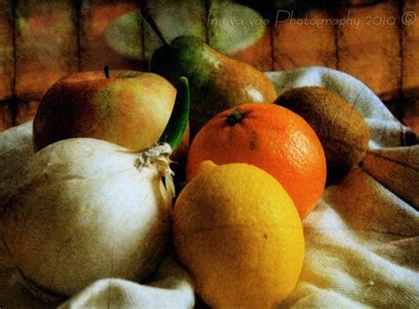 Texture Photographers Low Resolution 的图像结果