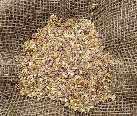 Bamfords Robin & Blackbird Wild Bird Food No Mess Seed Mix 20kg ...