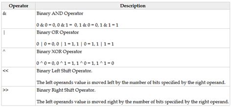 Image result for Bit Manipulation Algorithms