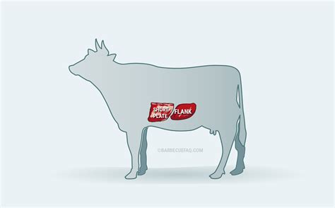 Skirt Vs Flank Steak