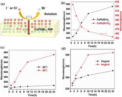 Image result for Anion Exchange Example