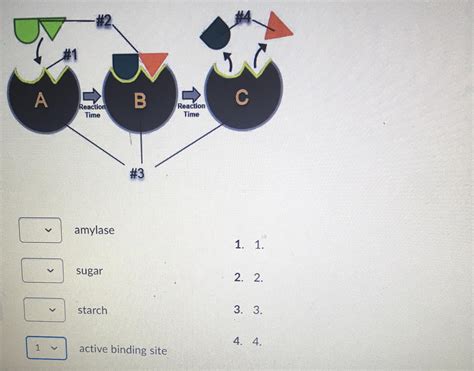 Image result for How to Perform Enzyme-Substrate Method Using Quanti Trays