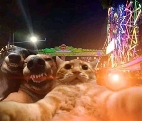 Hi guys....people who have joined TCS, there's a background check that ...