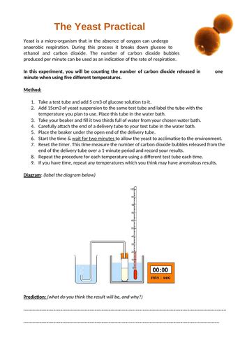 Free Science Lessons Respiration 的图像结果