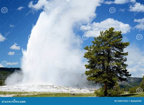 Old Faithful Geyser Erupts Right on Schedule. Stock Image - Image of ...