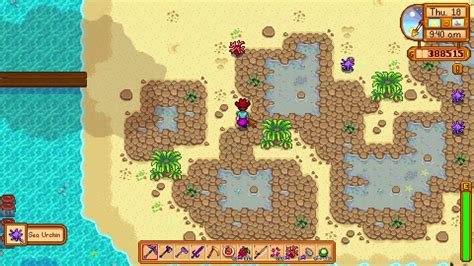 How to get Sea Urchin in Stardew Valley - YouTube