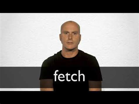 Image result for Fetch Definition