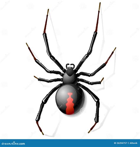 Black Spider Drawing
