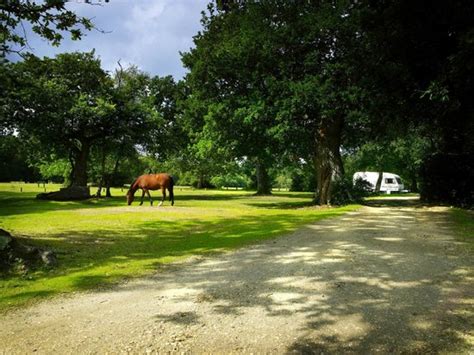 ASHURST CAMPSITE (Southampton) - Campground Reviews & Photos - Tripadvisor