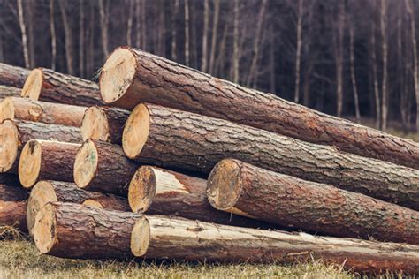 木材交易为何存在交付难题？什么造成了木材交易流程的变化_行业资讯_木头云