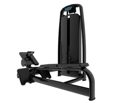 Image result for Low Row Back Machine