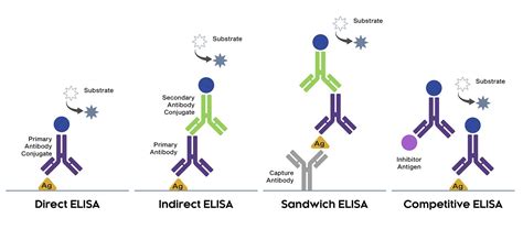 Image result for Competitive ELISA Protocol