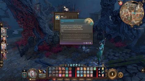 True Love's Caress & True Love's Embrace Pair Rings Locations | Baldur ...