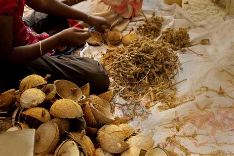 D'source Making Process | Coconut Shell Bird Feeder - Kanyakumari | D ...