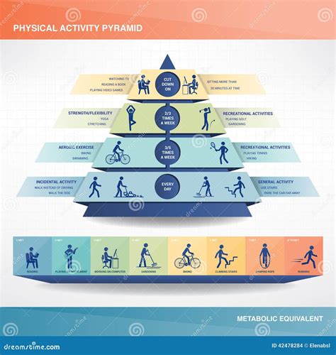 Physical Activity Pyramid Infographic Vector Illustration ...