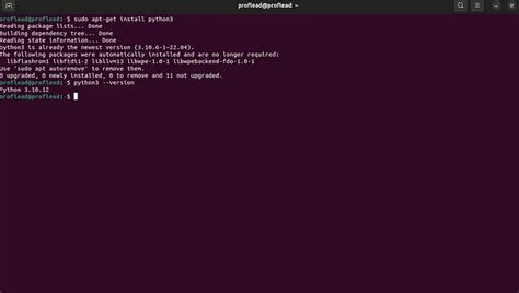 Python and Ai Projects Using Gemini API 的图像结果
