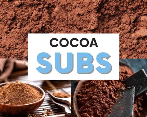 The BEST Cocoa Powder Substitutes To Use | The Olive Branch Nest
